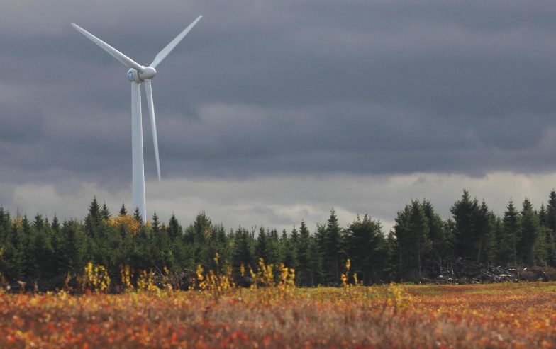 A single wind turbine with trees in the foreground