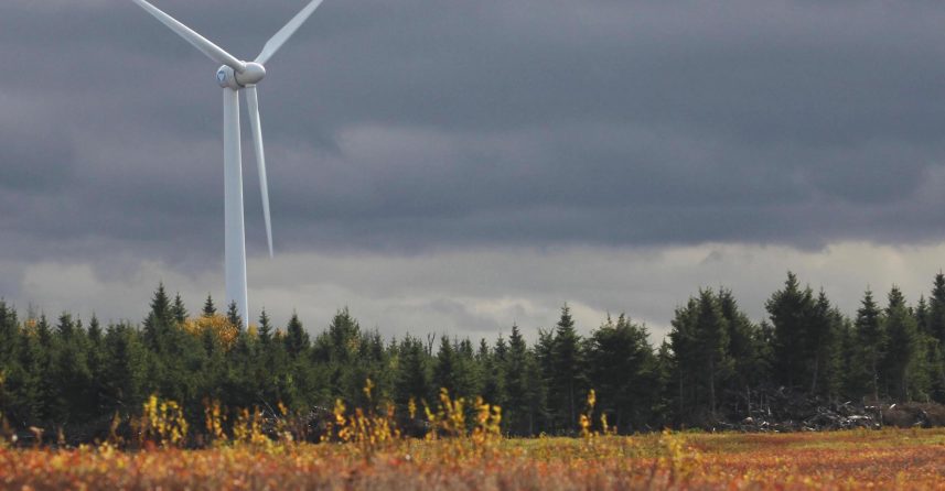 A single wind turbine with trees in the foreground