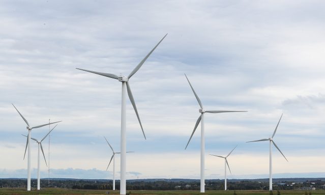 Several windmills in a field