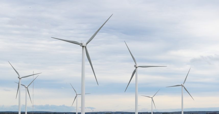 Several windmills in a field